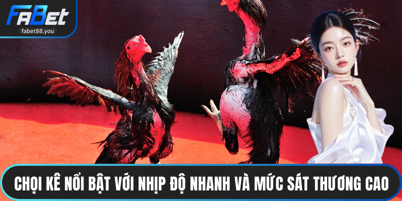 Chọi kê nổi bật với nhịp độ nhanh và mức sát thương cao